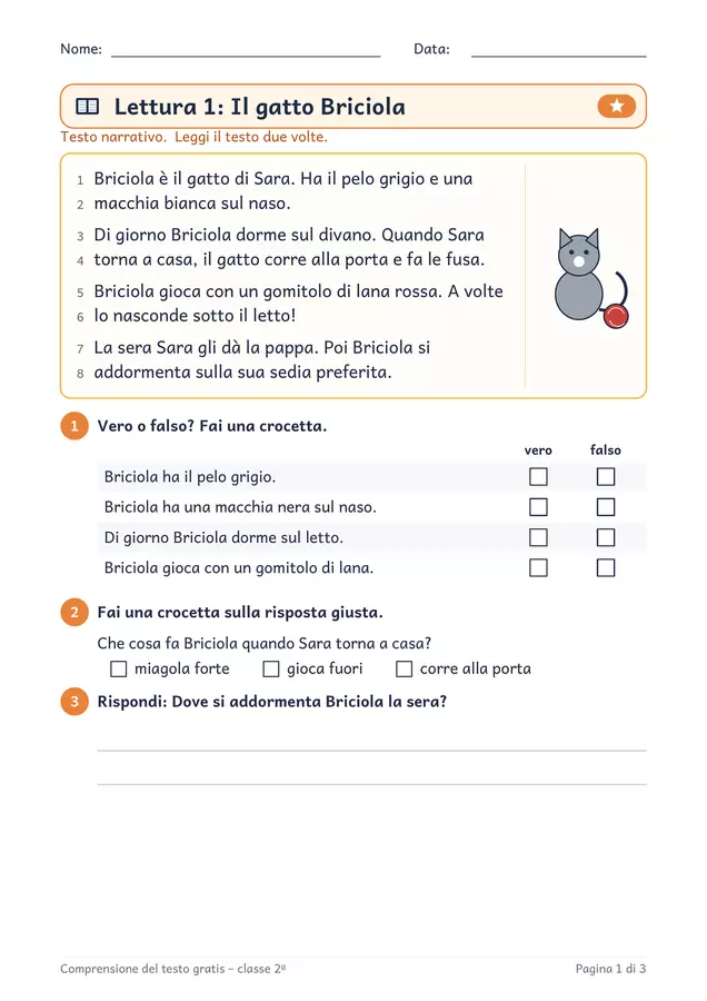 Comprensione del testo classe seconda gratis: 2 letture Esercizi - Comprensione del testo classe seconda gratis: 2 letture - Chiaro e Corretto - Pagina di copertina