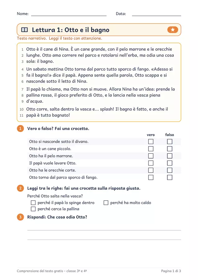 Comprensione del testo classe terza e quarta gratis Esercizi - Comprensione del testo classe terza e quarta gratis - Chiaro e Corretto - Pagina di copertina