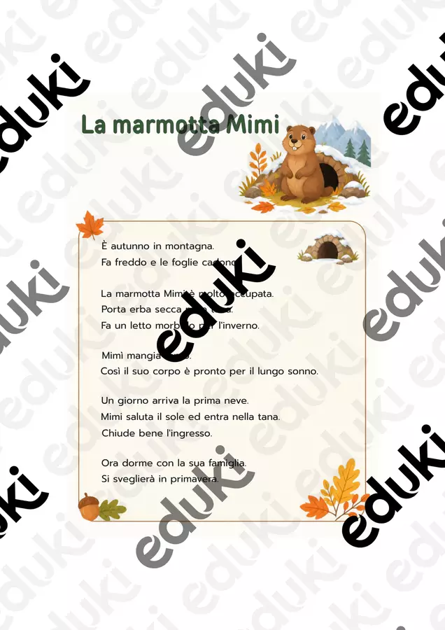 La marmotta Mimi Esercizi - La marmotta Mimi - Il banco di Rachele - Pagina di copertina