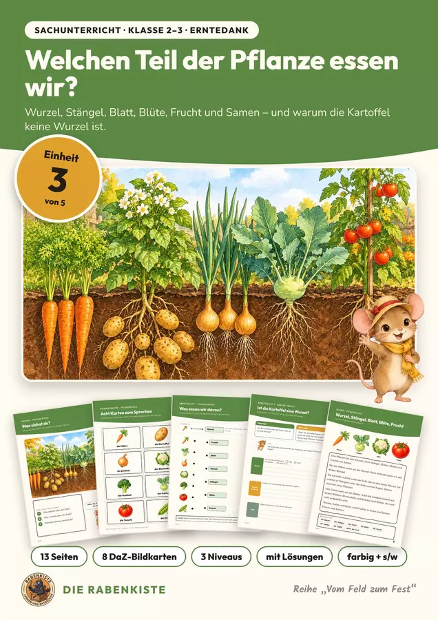 Pflanzenteile Gemüse Sachunterricht Klasse 2 3 | Unterrichtseinheit 13 Seiten mit Lösungen | Wurzel, Blüte, Frucht, Kartoffel | Vom Feld zum Fest 3 Arbeitsblätter - Pflanzenteile Gemüse Sachunterricht Klasse 2 3 | Unterrichtseinheit 13 Seiten mit Lösungen | Wurzel, Blüte, Frucht, Kartoffel | Vom Feld zum Fest 3 - Die Rabenkiste - Deckblatt