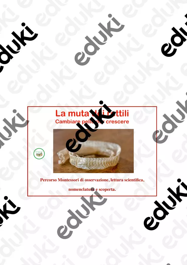 La muta dei rettili-cambiare pelle per crescere Altro tipo di materiale - La muta dei rettili-cambiare pelle per crescere - montessorianamentelucca - Pagina di copertina