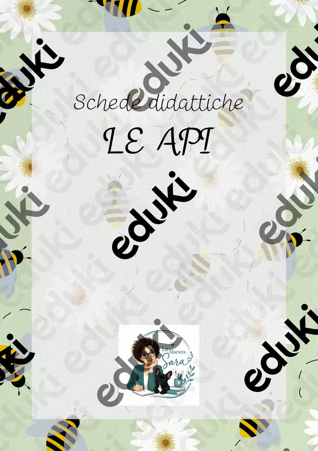 SCHEDE DIDATTICHE SULLE API Esercizi - SCHEDE DIDATTICHE SULLE API - lamaestra.sara - Pagina di copertina