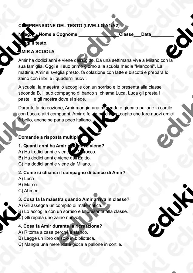 Comprensione NAI: Amir a scuola Esercizi - Comprensione NAI: Amir a scuola - Francesca91* - Pagina di copertina