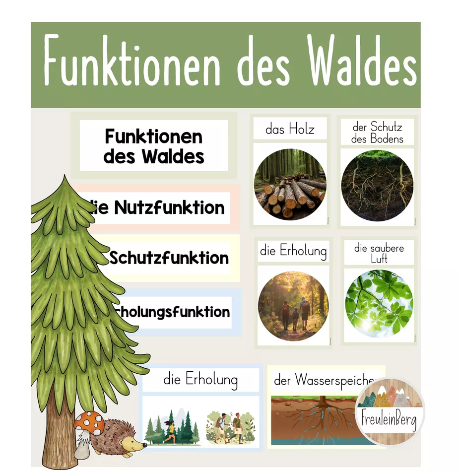Bild in der Beschreibung des Unterrichtsmaterials Funktionen des Waldes - Tafelmaterial von FreuleinBerg #1