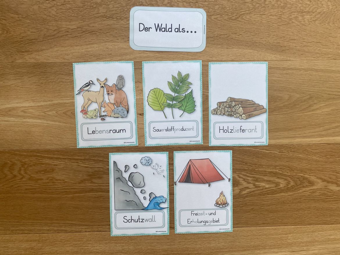 Bild in der Beschreibung des Unterrichtsmaterials Unterrichtsreihe - Der Wald (Klasse 1+2) von Grundschulimpulse #8