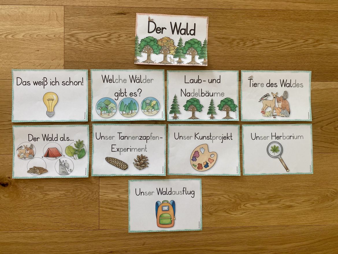 Bild in der Beschreibung des Unterrichtsmaterials Unterrichtsreihe - Der Wald (Klasse 1+2) von Grundschulimpulse #2