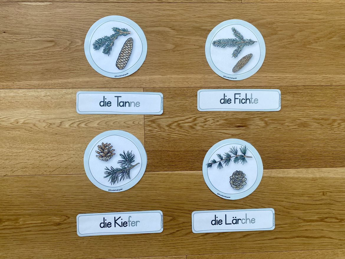 Bild in der Beschreibung des Unterrichtsmaterials Unterrichtsreihe - Der Wald (Klasse 1+2) von Grundschulimpulse #6