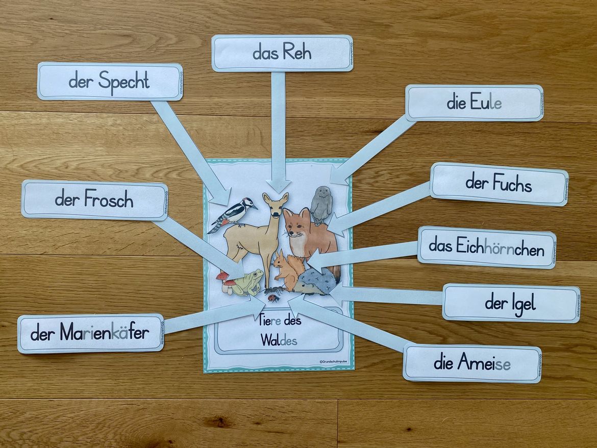Bild in der Beschreibung des Unterrichtsmaterials Unterrichtsreihe - Der Wald (Klasse 1+2) von Grundschulimpulse #7
