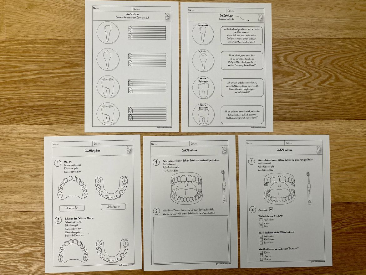 Bild in der Beschreibung des Unterrichtsmaterials Unterrichtsreihe: Die Zähne (Klasse 1+2) von Grundschulimpulse #15