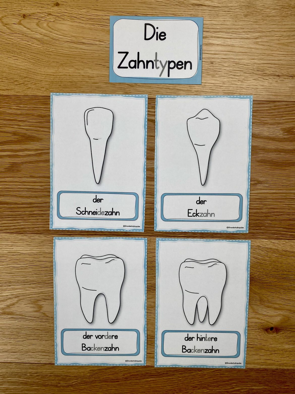Bild in der Beschreibung des Unterrichtsmaterials Unterrichtsreihe: Die Zähne (Klasse 1+2) von Grundschulimpulse #5
