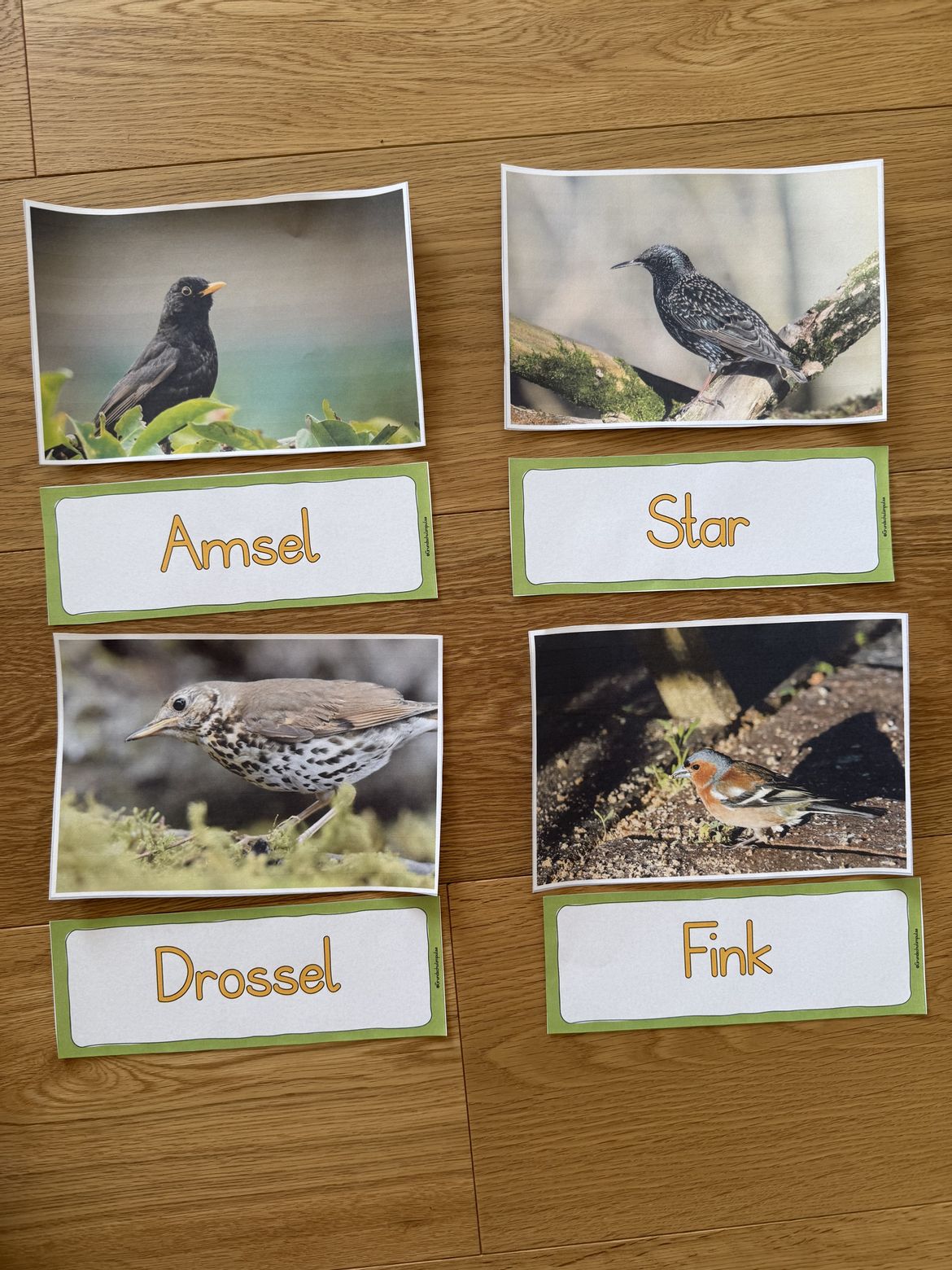 Bild in der Beschreibung des Unterrichtsmaterials Musikreihe: "Alle Vögel sind schon da!" (Klasse 1-4) von Grundschulimpulse #4