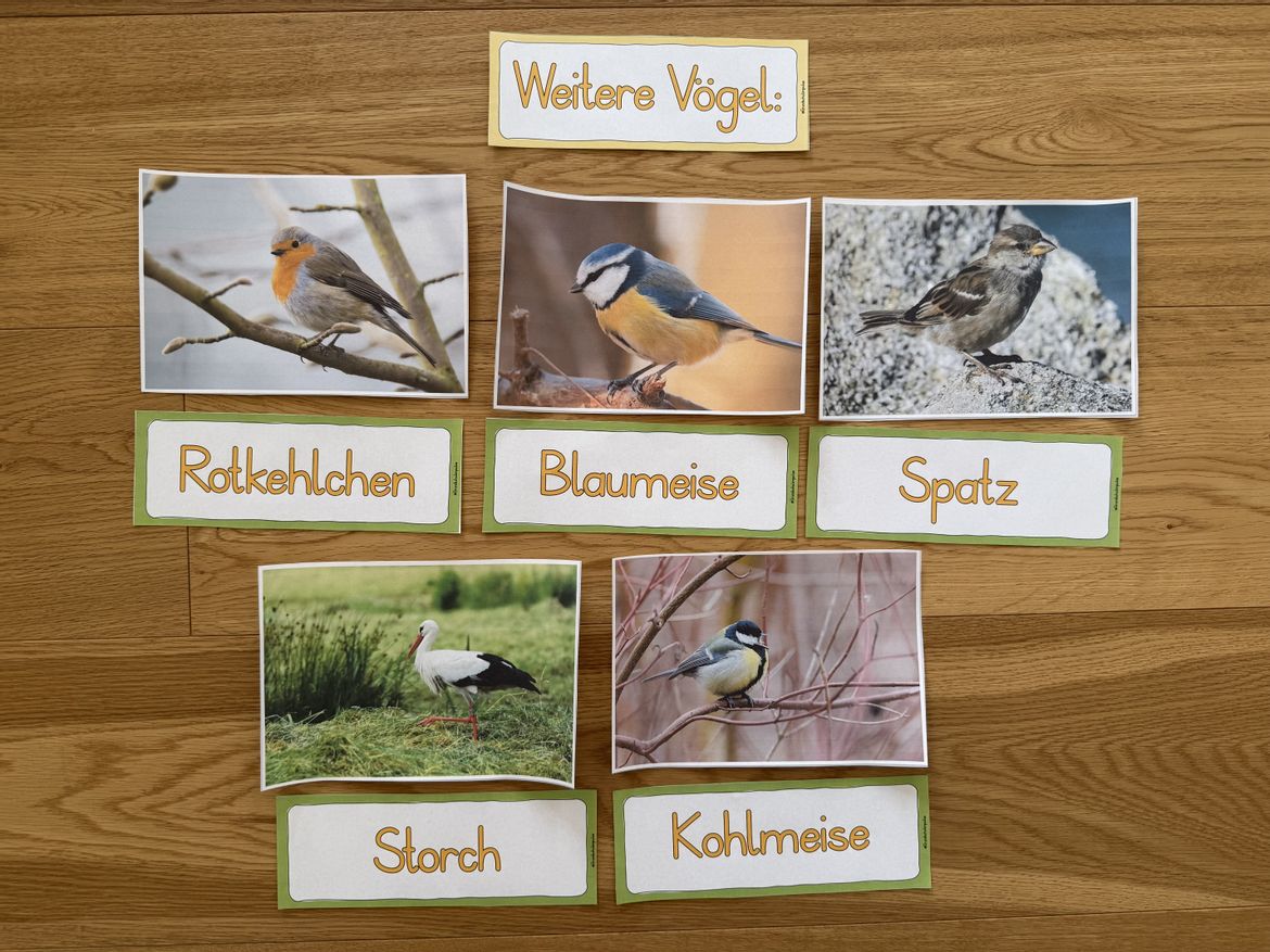 Bild in der Beschreibung des Unterrichtsmaterials Musikreihe: "Alle Vögel sind schon da!" (Klasse 1-4) von Grundschulimpulse #5