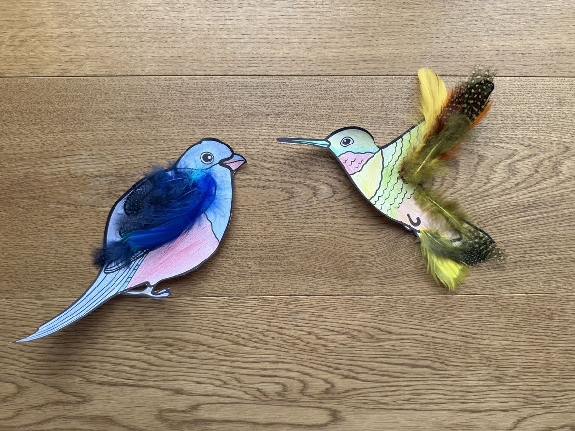 Bild in der Beschreibung des Unterrichtsmaterials Musikreihe: "Alle Vögel sind schon da!" (Klasse 1-4) von Grundschulimpulse #8