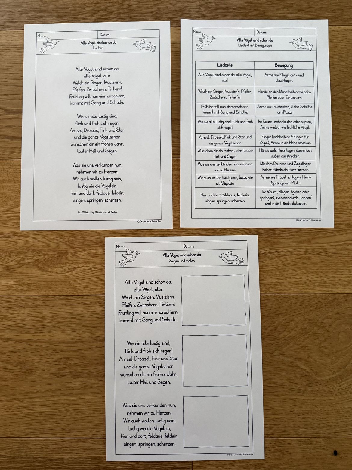 Bild in der Beschreibung des Unterrichtsmaterials Musikreihe: "Alle Vögel sind schon da!" (Klasse 1-4) von Grundschulimpulse #6