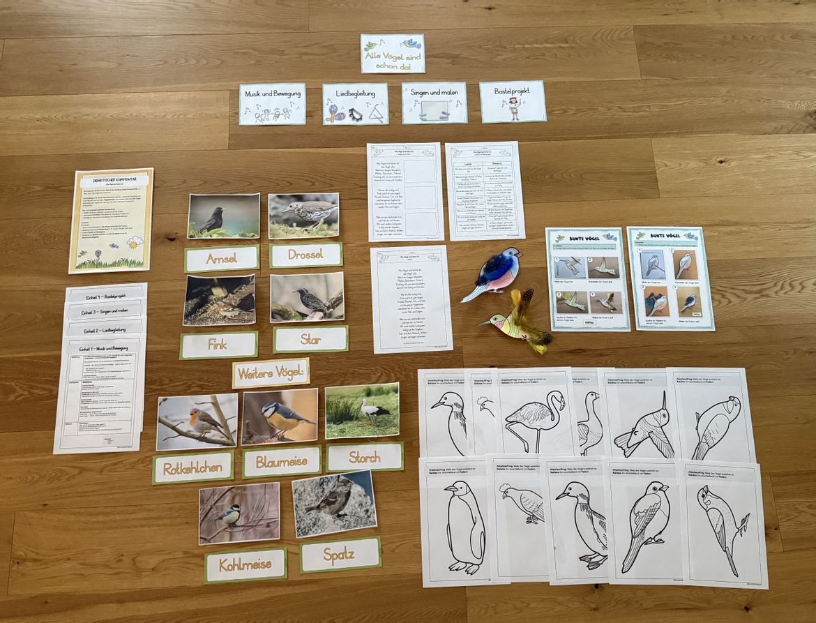 Bild in der Beschreibung des Unterrichtsmaterials Musikreihe: "Alle Vögel sind schon da!" (Klasse 1-4) von Grundschulimpulse #1