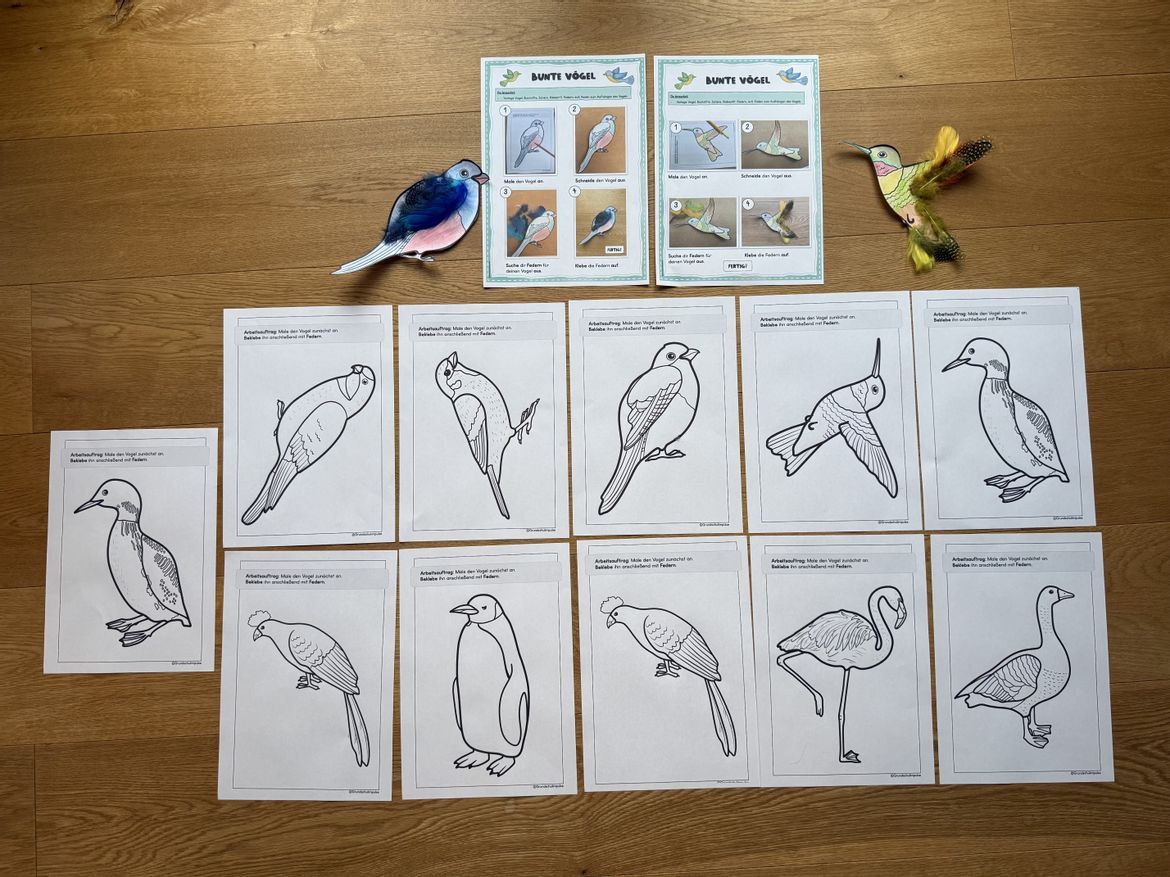 Bild in der Beschreibung des Unterrichtsmaterials Musikreihe: "Alle Vögel sind schon da!" (Klasse 1-4) von Grundschulimpulse #9