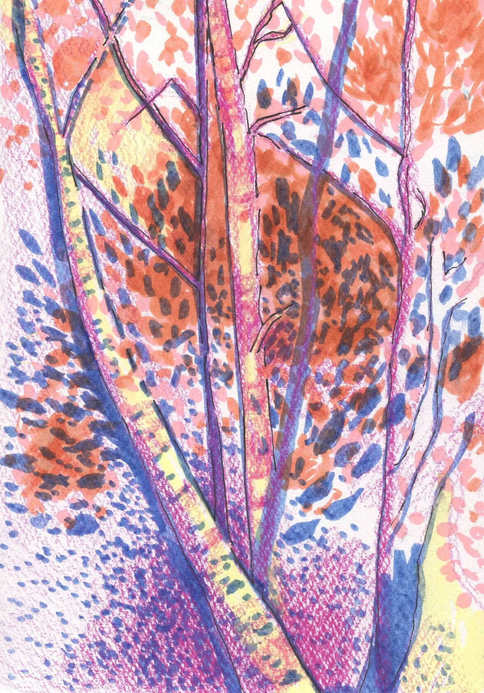 bg