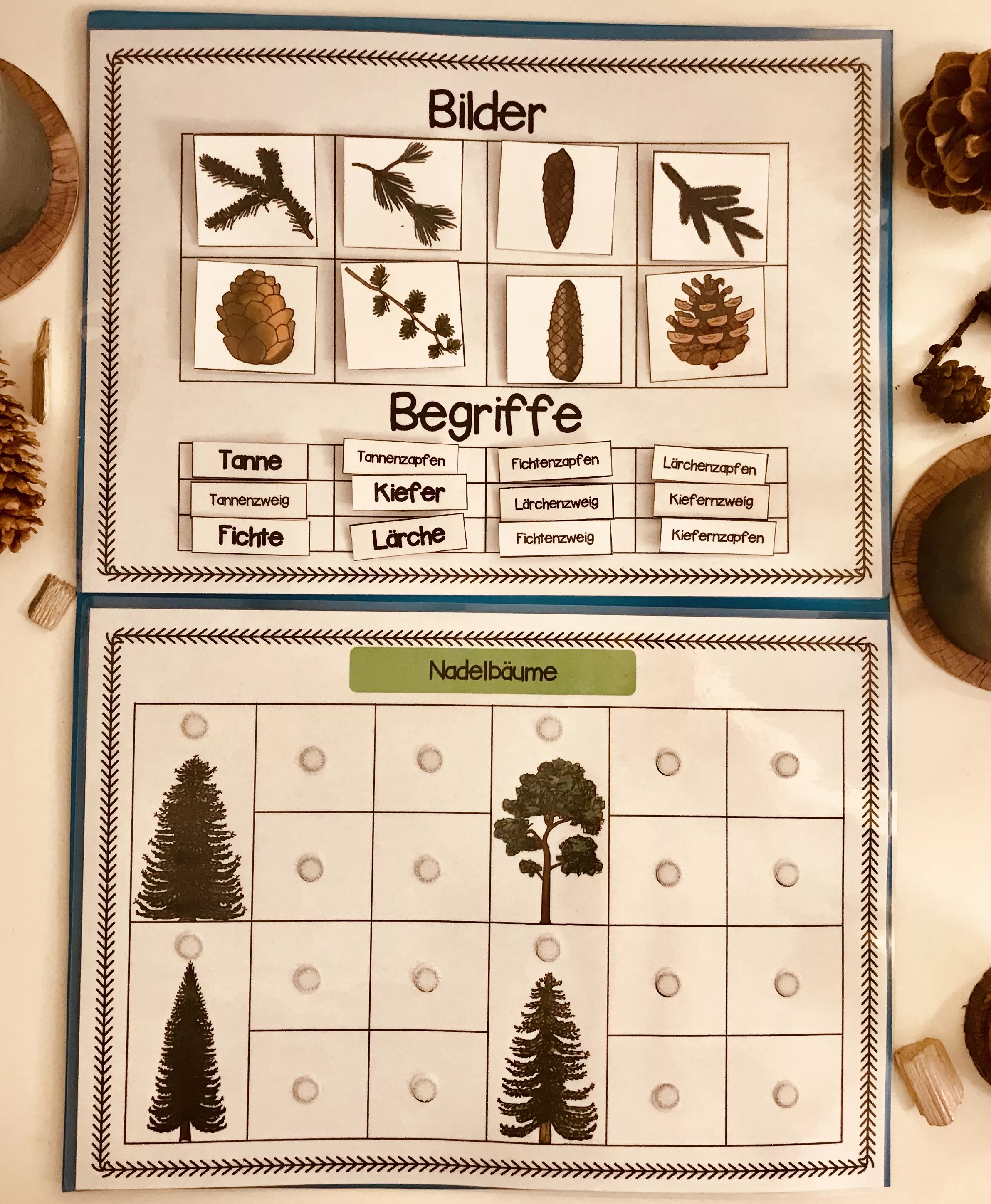 Bild in der Beschreibung des Unterrichtsmaterials Klettlernmappe Nadelbäume von The Growing Firsties #2