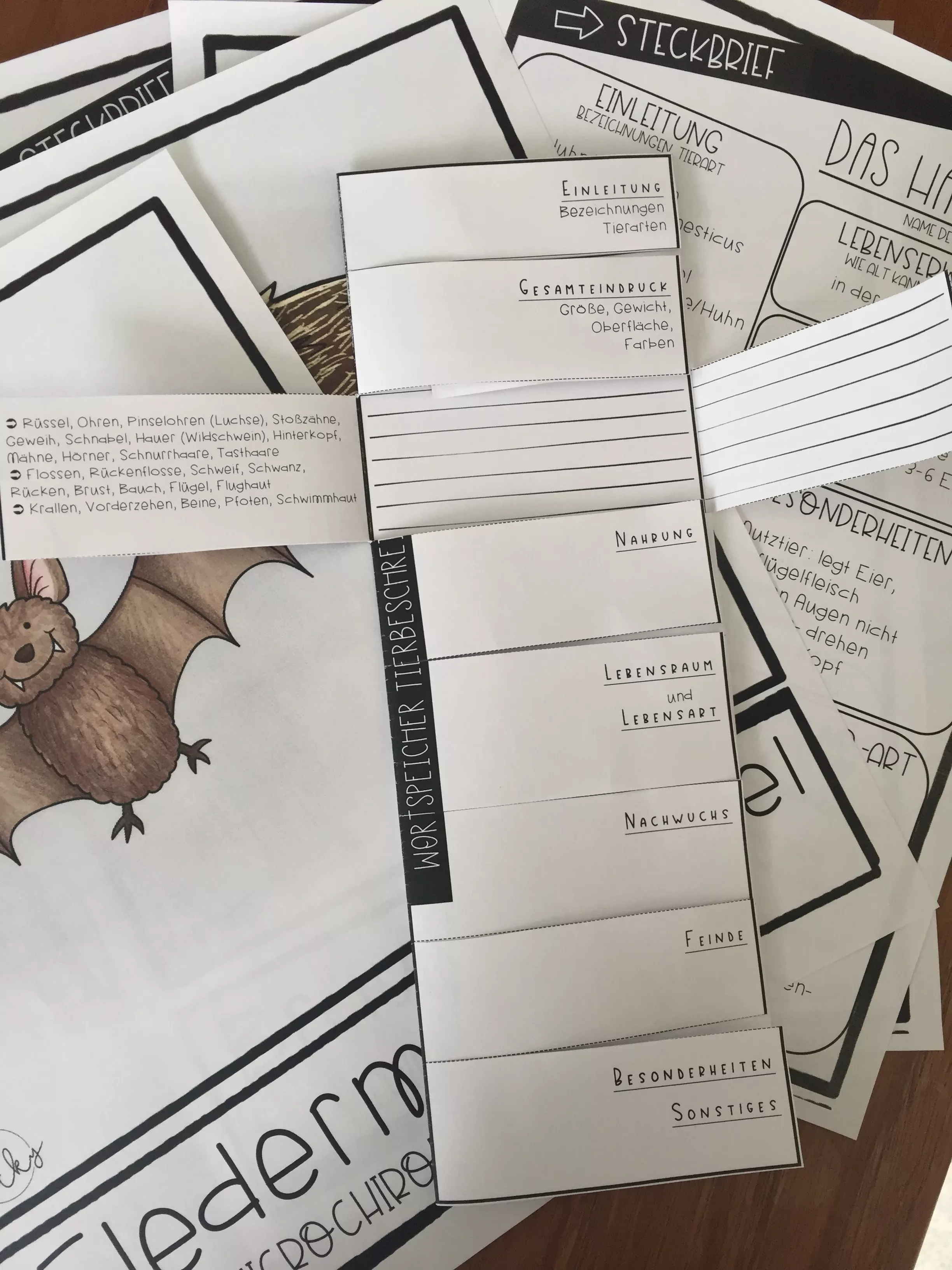 Bild in der Beschreibung des Unterrichtsmaterials Tierbeschreibung Materialpaket (Tiersteckbrief) von Becky #1