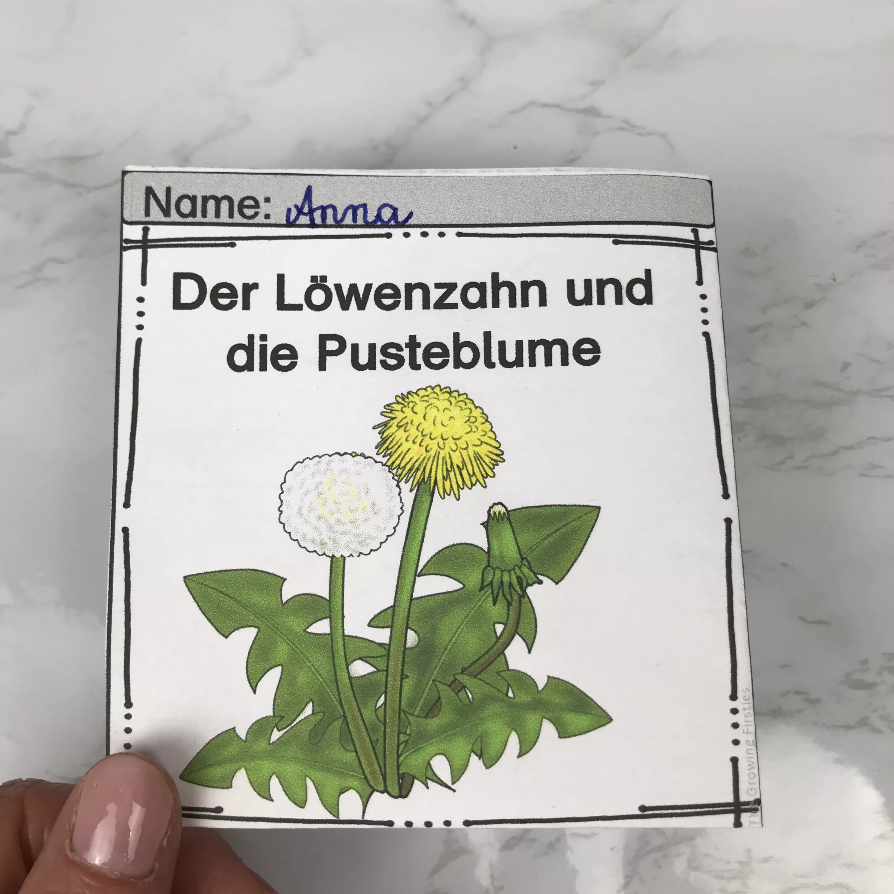 Bild in der Beschreibung des Unterrichtsmaterials Leporello - Vom Löwenzahn zur Pusteblume von The Growing Firsties #3