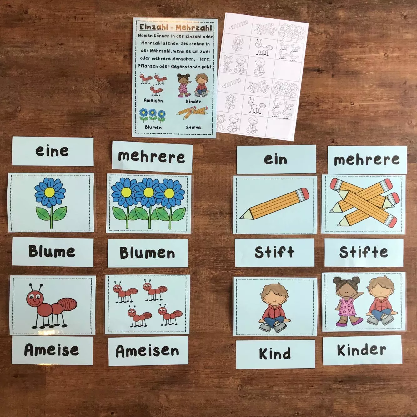 Bild in der Beschreibung des Unterrichtsmaterials Nomen, Artikel, Einzahl und Mehrzahl von The Growing Firsties #3