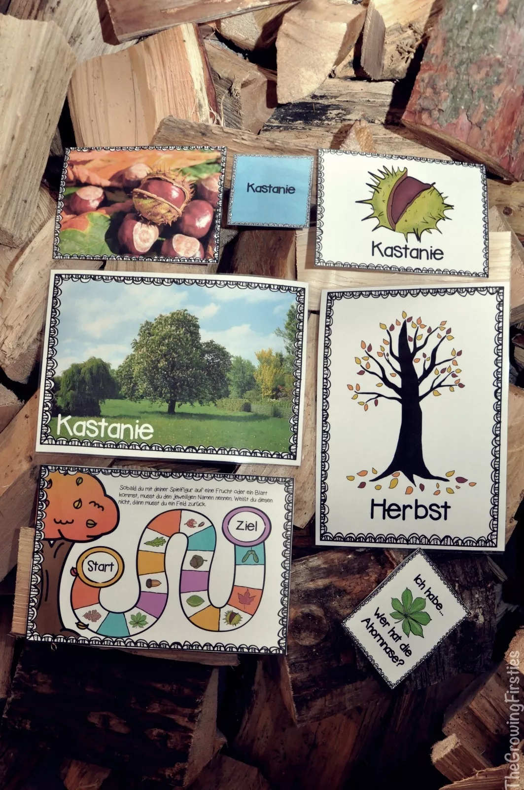Bild in der Beschreibung des Unterrichtsmaterials Laubbäume kennenlernen (Arbeitsblätter, Flashcards, Infotexte, Spiele) von The Growing Firsties #2
