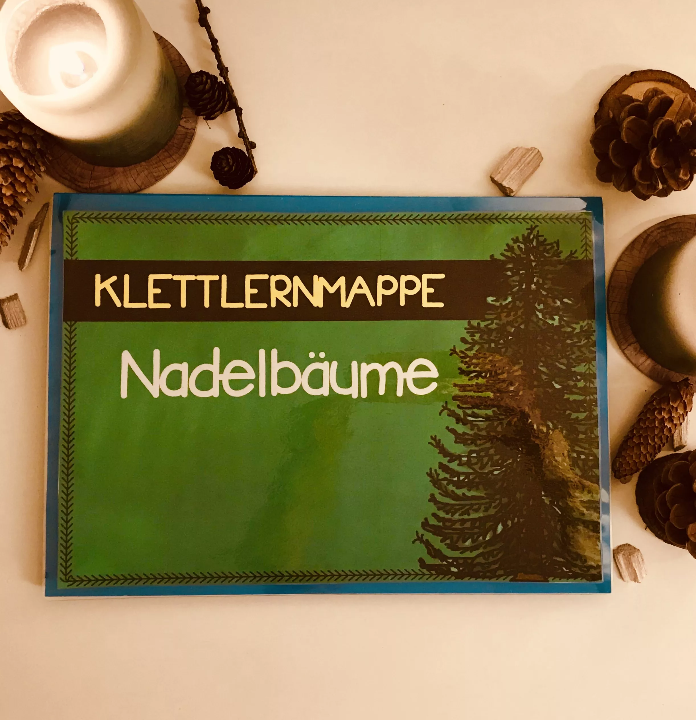 Bild in der Beschreibung des Unterrichtsmaterials Klettlernmappe Nadelbäume von The Growing Firsties #1