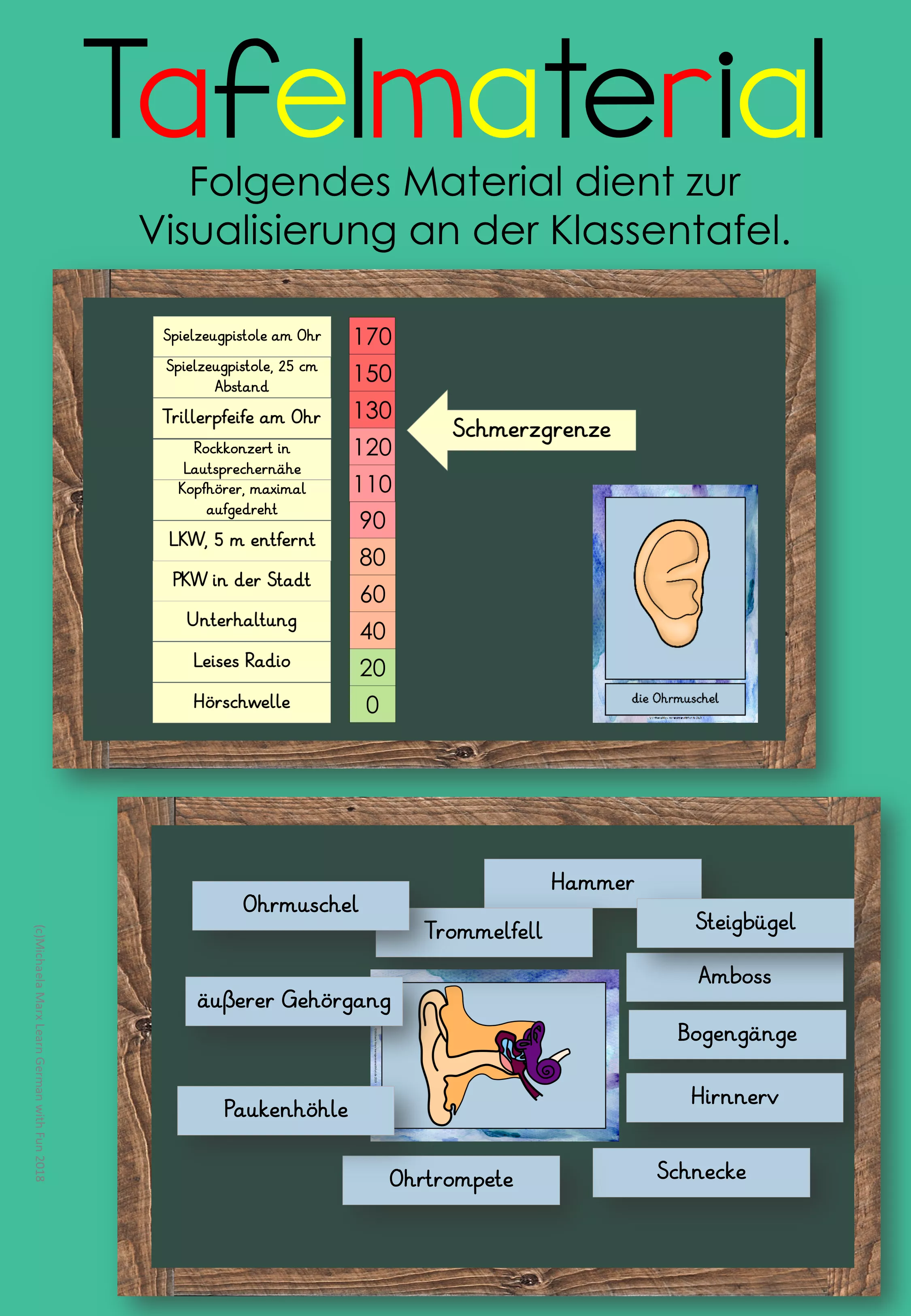 Bild in der Beschreibung des Unterrichtsmaterials Das Ohr - Materialsammlung - Hören von Clever Teaching #6