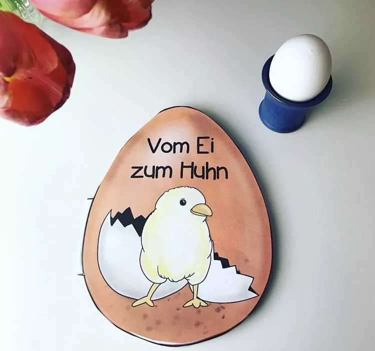 Bild in der Beschreibung des Unterrichtsmaterials Vom Ei zum Küken/Huhn von The Growing Firsties #1