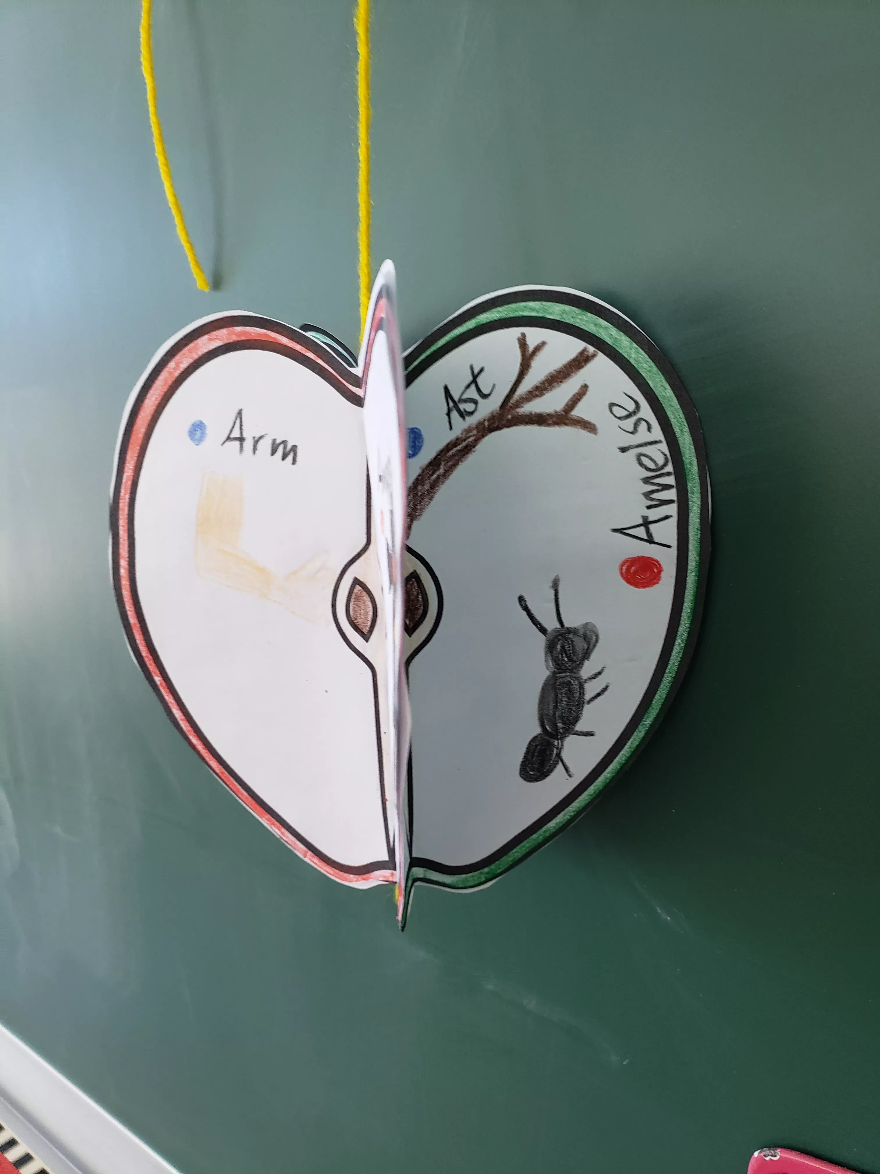 Bild in der Beschreibung des Unterrichtsmaterials Apfel Craftivity von kreativ lernen #1