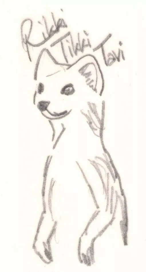 bg