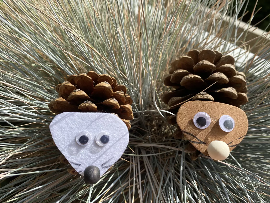 Bild in der Beschreibung des Unterrichtsmaterials Tannenzapfen Igel - Kunstprojekt (Klasse 1-2) von Grundschulimpulse #1