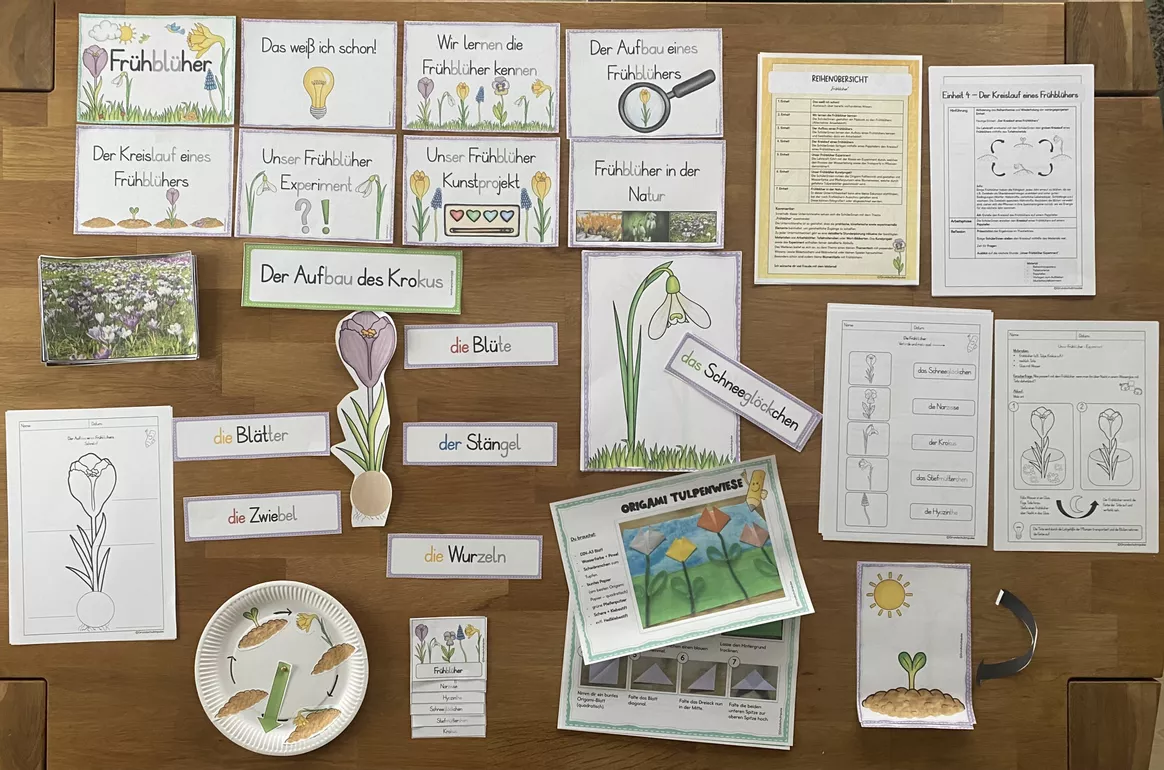 Bild in der Beschreibung des Unterrichtsmaterials Frühblüher - Unterrichtsreihe (Klasse 1+2) von Grundschulimpulse #1