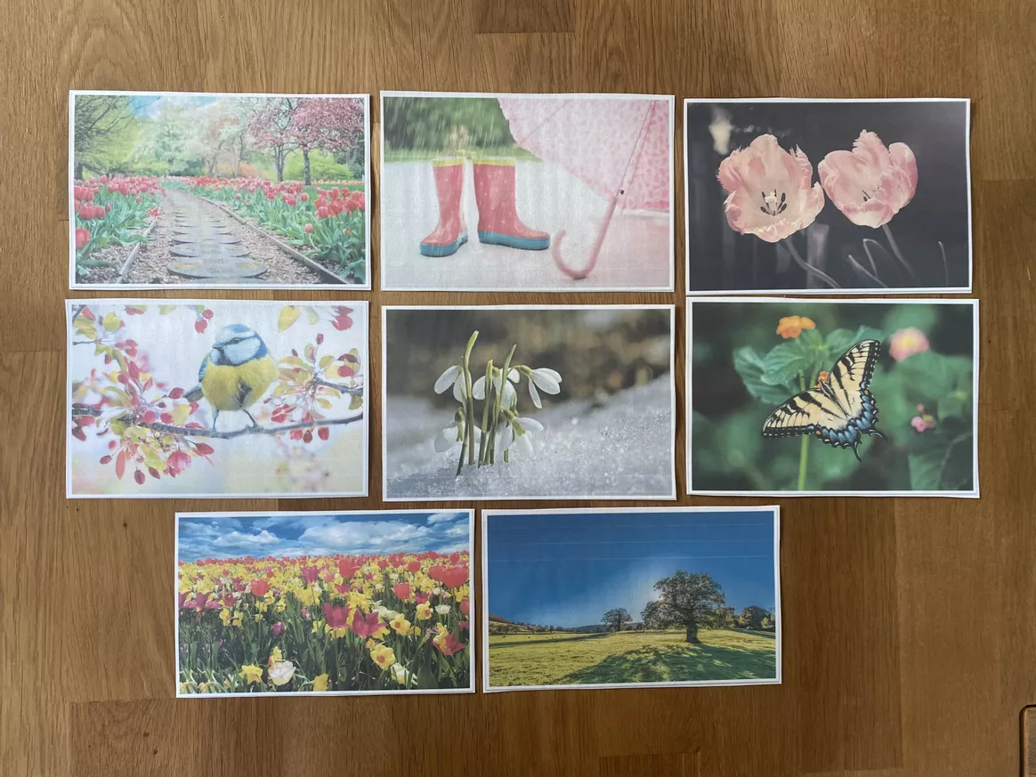 Bild in der Beschreibung des Unterrichtsmaterials Frühlingsgedichte (Ministory): Unterrichtsreihe (Kl.2-3) von Grundschulimpulse #4