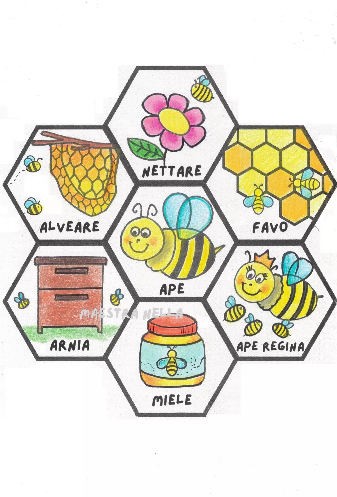 Bild in der Beschreibung des Unterrichtsmaterials Giornata mondiale delle api: fiore con lapbook von maestra Nella #2