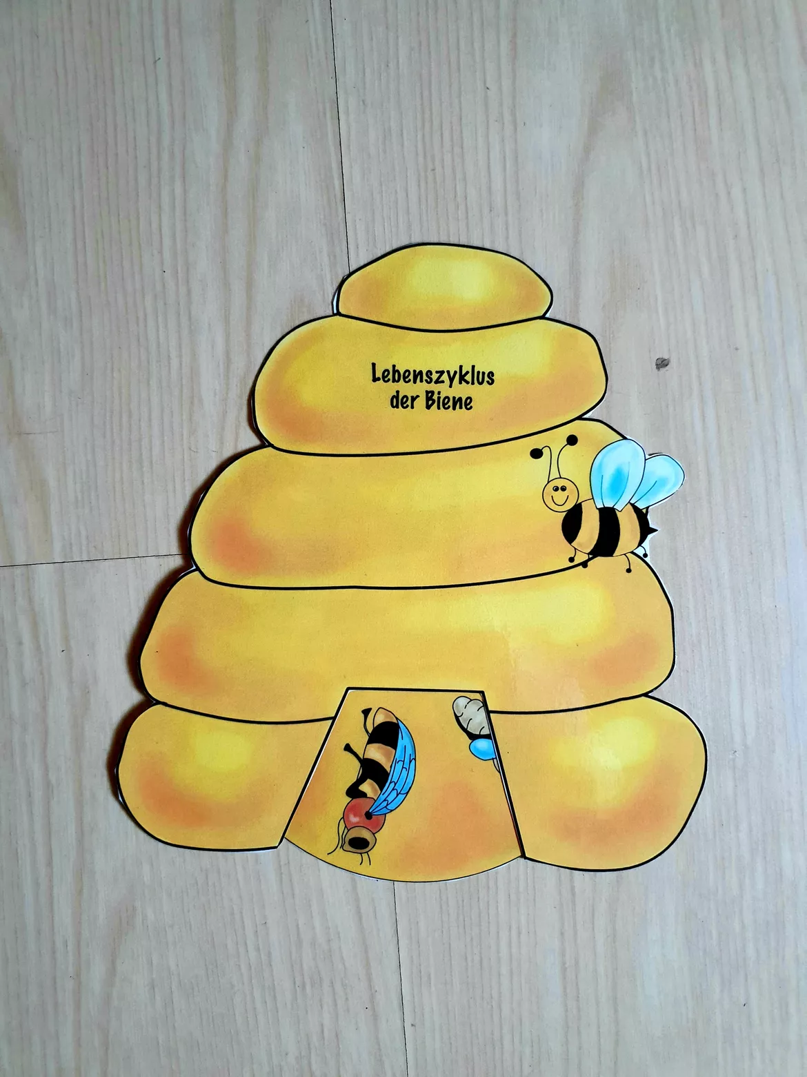 Bild in der Beschreibung des Unterrichtsmaterials Drehscheibe - Lebenszyklus der Biene SW/FARBE von Fräulein_Farbenfroh #1