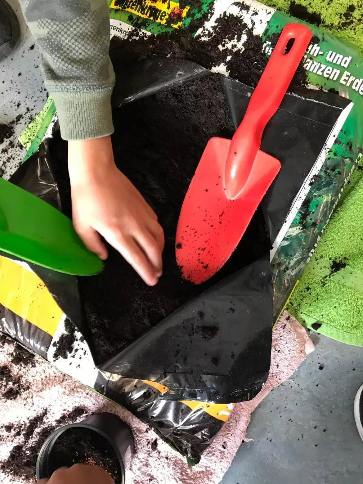 Bild in der Beschreibung des Unterrichtsmaterials Forschertagebuch - Kresse von mlle_frenglais #2