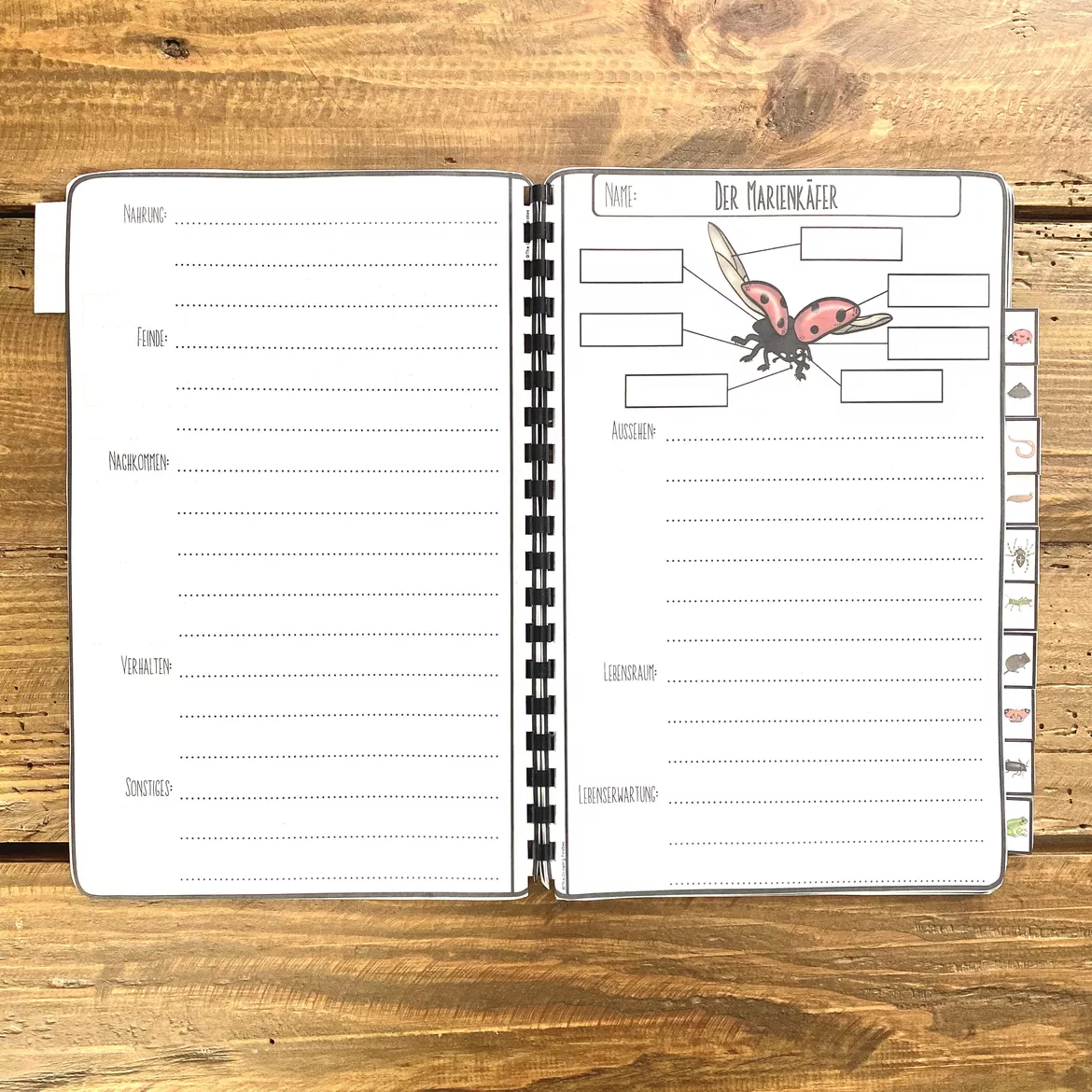 Bild in der Beschreibung des Unterrichtsmaterials Steckbriefe - Wiesentiere (Flipbook) von The Growing Firsties #2