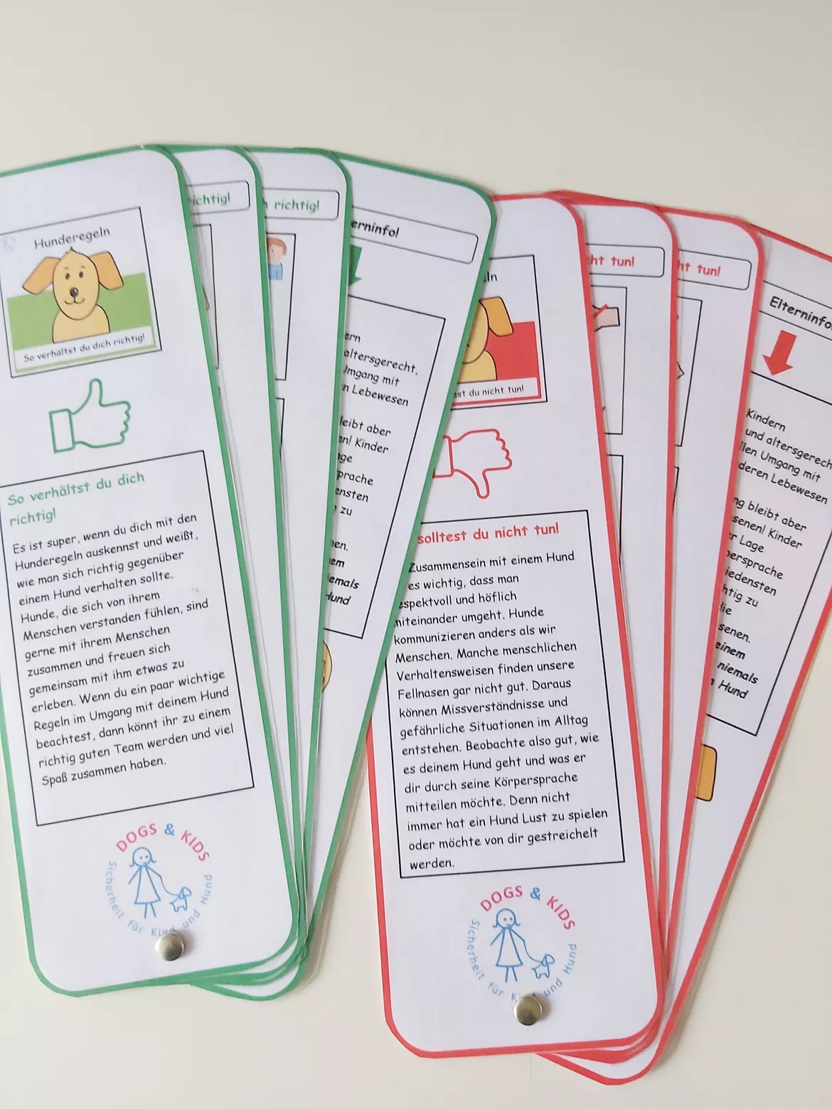 Bild in der Beschreibung des Unterrichtsmaterials DOGS & KIDS Arbeitsmaterilalien Hunderegeln Fächerkarte von DOGS & KIDS #1