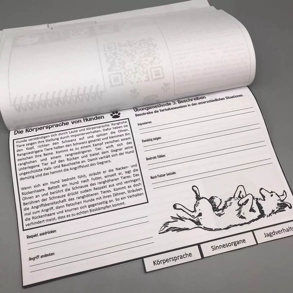 Bild in der Beschreibung des Unterrichtsmaterials Lernportfolio zum Hund (Abstammung, Domestikation, Körpersprache, Sinnesorgane, Jagdverhalten) von Sandras Ideenkiste #2