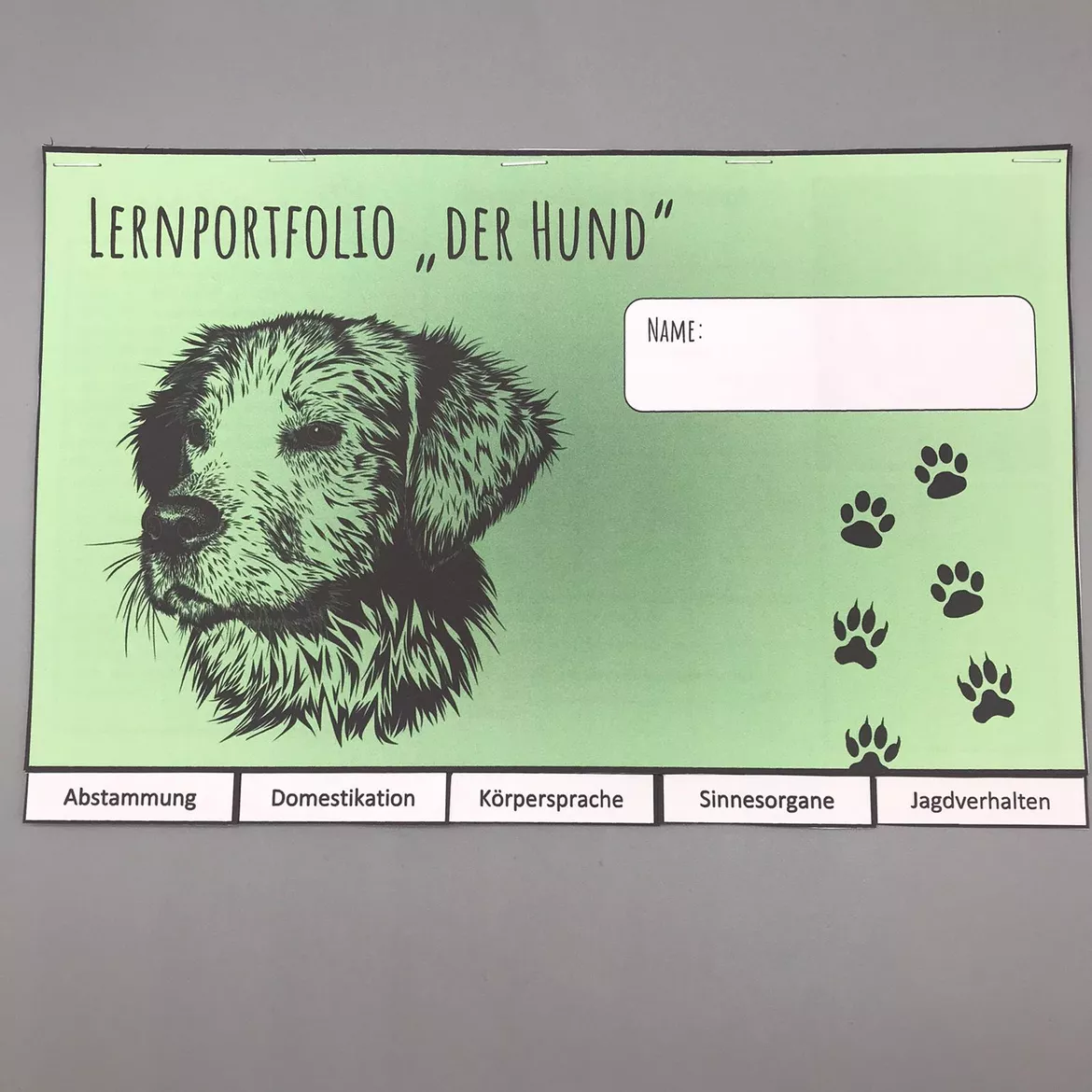 Bild in der Beschreibung des Unterrichtsmaterials Lernportfolio zum Hund (Abstammung, Domestikation, Körpersprache, Sinnesorgane, Jagdverhalten) von Sandras Ideenkiste #1
