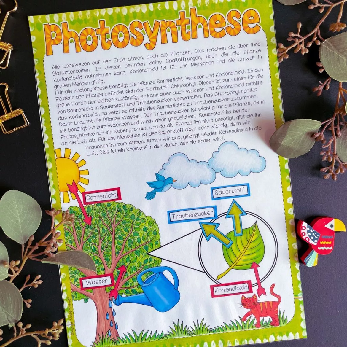 Bild in der Beschreibung des Unterrichtsmaterials Photosynthese - AB, Infotext & PowerPoint-Präsentation #edukilights22 von Meine Materialwelt #1