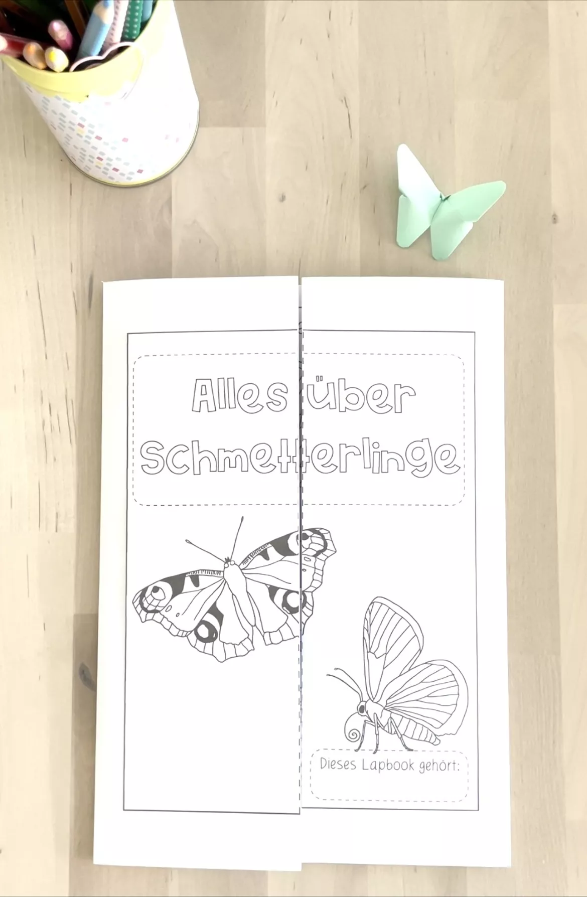 Bild in der Beschreibung des Unterrichtsmaterials Lapbook Schmetterlinge von nekoneko #1