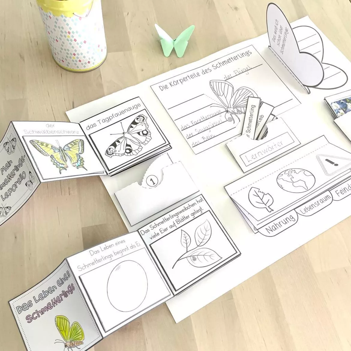 Bild in der Beschreibung des Unterrichtsmaterials Lapbook Schmetterlinge von nekoneko #2