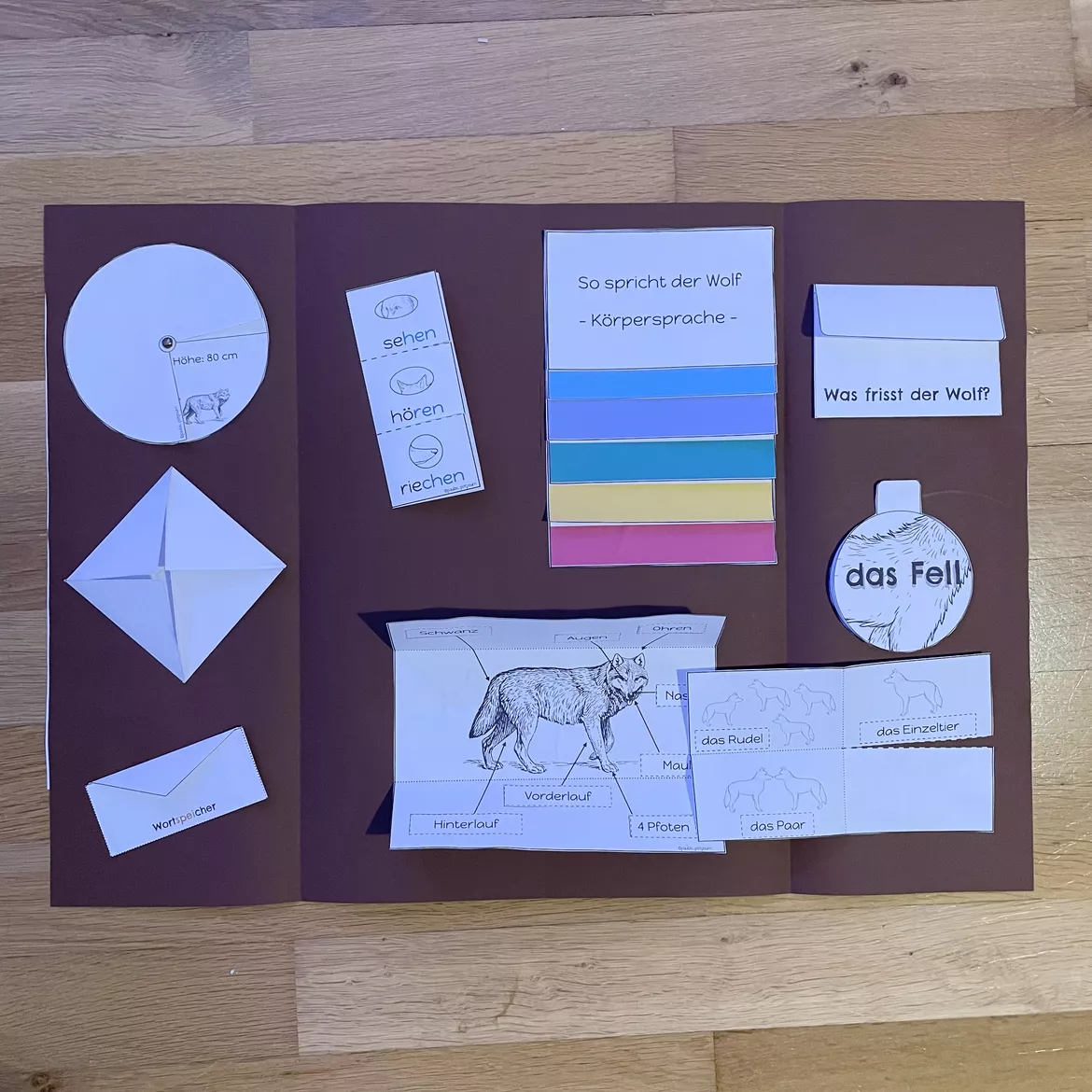 Bild in der Beschreibung des Unterrichtsmaterials Der Wolf I Lapbook I Raubtiere I Wildtiere von paulas potpourri #1