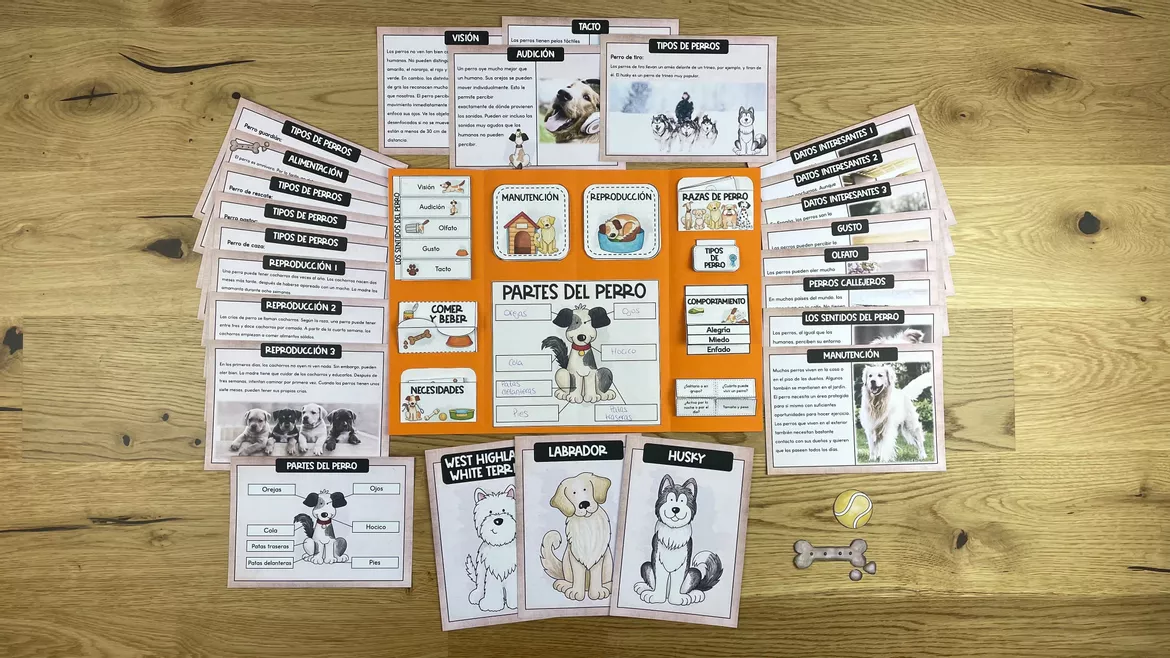 Bild in der Beschreibung des Unterrichtsmaterials Perros Lapbook + Datos interesantes von The Growing Firsties #2