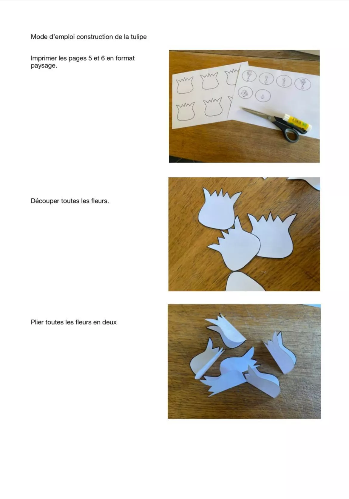 Bild in der Beschreibung des Unterrichtsmaterials Cycle de vie de la tulipe von La classe de Mme Tatiana #1