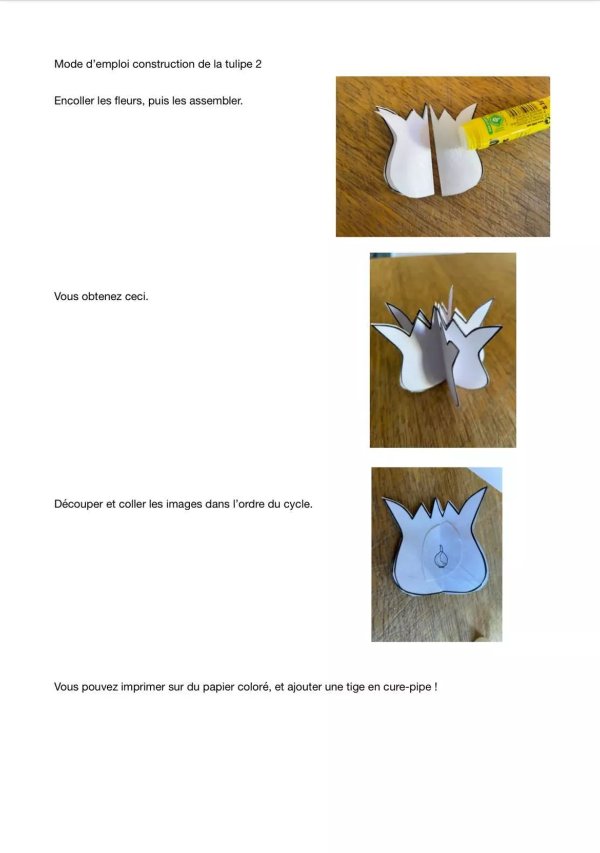 Bild in der Beschreibung des Unterrichtsmaterials Cycle de vie de la tulipe von La classe de Mme Tatiana #2