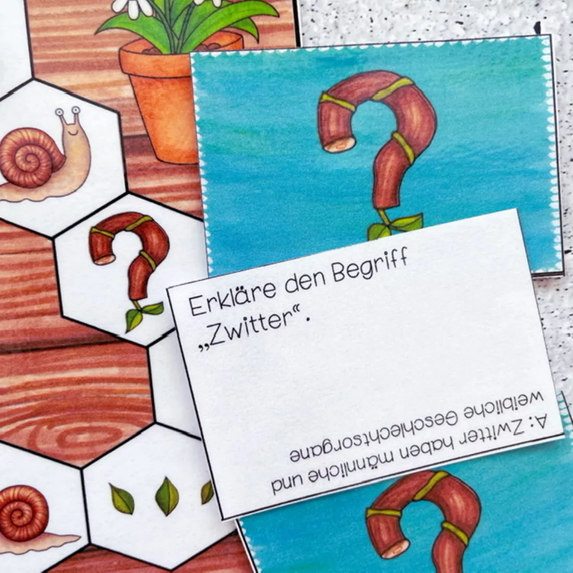Bild in der Beschreibung des Unterrichtsmaterials Schneckenspiel - Wirbellose von Meine Materialwelt #3