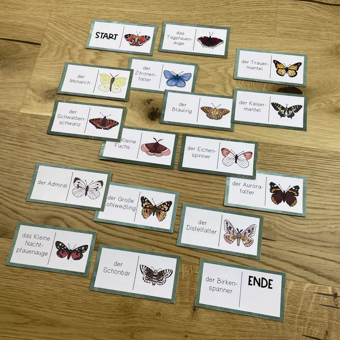Bild in der Beschreibung des Unterrichtsmaterials Der Schmetterling - Dominospiel von The Growing Firsties #3